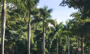 Imagem 5: Terreno à venda em condomínio exclusivo de Atibaia-SP, 707m² Atibaia!