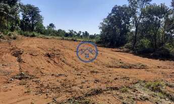 Imagem 5: Terreno com ótima topografia