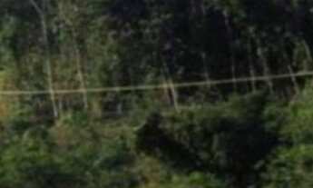 Imagem: TERRENO BR - 101