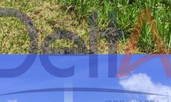 Imagem 2: TERRENO INDUSTRIAL em Joinville - SC, Vila Nova