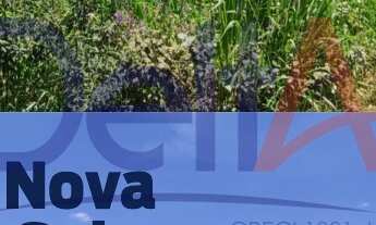 Imagem 3: TERRENO INDUSTRIAL em Joinville - SC, Vila Nova