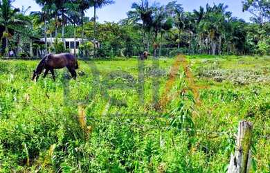 Imagem 3: TERRENO INDUSTRIAL em Balneário Barra do Sul - SC, Salinas