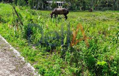 Imagem 5: TERRENO INDUSTRIAL em Balneário Barra do Sul - SC, Salinas