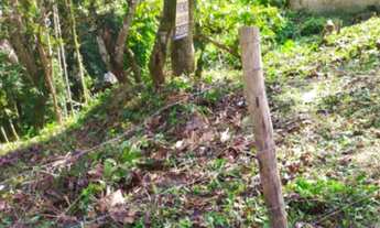 Imagem 7: Terreno à venda no Glória em Joinville-SC com 450,00 m² de área! Imperdível oportunidade d