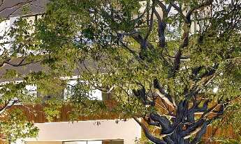 Imagem: Apartamento à venda no América, Joinville-SC