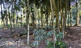 Imagem 5: Chácara à venda em Joinville-SC, bairro Vila Nova com 20.000,00 m² de área! Venha conferir