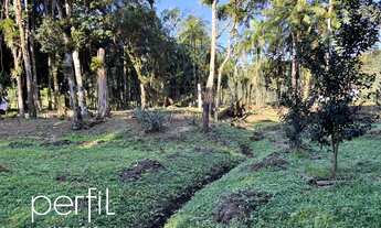 Imagem 7: Chácara à venda em Joinville-SC, bairro Vila Nova com 20.000,00 m² de área! Venha conferir