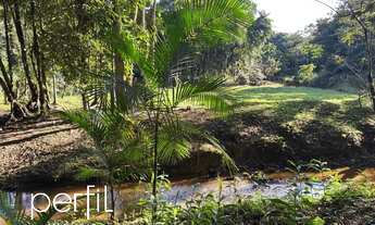 Imagem 2: Chácara à venda em Joinville-SC, bairro Vila Nova com 20.000,00 m² de área! Venha conferir