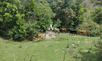 Imagem: FRB IMÓVEIS PRIME