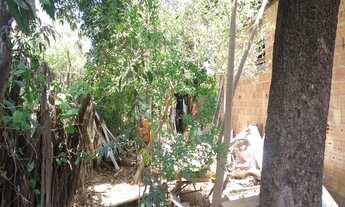 Imagem 6: Ponto Comercial com 231m² no Centro - Barreiras/Bahia