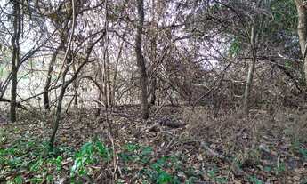 Imagem 2: Terreno com 3.000m² no povoado São José - Barreiras /Ba