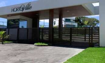 Imagem 4: 250M² de Área Total