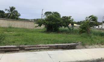 Imagem 3: 250M² de Área Total