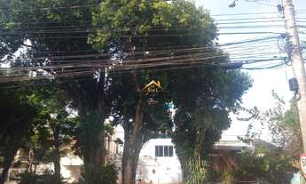 Imagem 5: Espetacular Casa à Venda em Jundiaí-SP, Bairro Vila Progresso: 4 Quartos, 2 Salas, 2 Banhe