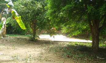 Imagem 4: Terreno à venda em Jundiaí-SP, com 350m² no Jardim das Samambaias - A oportunidade que voc