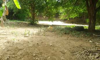 Imagem 1: Terreno à venda em Jundiaí-SP, com 350m² no Jardim das Samambaias - A oportunidade que voc