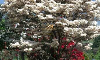 Imagem 7: CHACARA RESIDENCIAL em JUNDIAÍ - SP, CHÁCARAS DE RECREIO SANTA TEREZINHA
