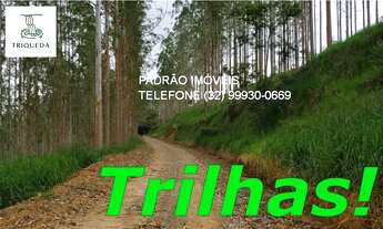 Imagem 4: GRANJA RESIDENCIAL em CORONEL PACHECO - MG, CONDOMINIO E PARQUE ECOLOGICO