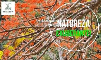 Imagem 7: GRANJA RESIDENCIAL em CORONEL PACHECO - MG, CONDOMINIO E PARQUE ECOLOGICO