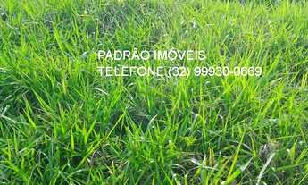 Imagem 7: FAZENDA RURAL em PIAU - MG, rural