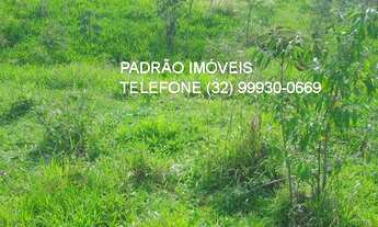 Imagem 5: FAZENDA RURAL em PIAU - MG, rural