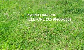 Imagem 6: FAZENDA RURAL em PIAU - MG, rural