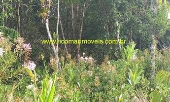 Imagem 3: Terreno Jardim Maramba 1 Itanhaém com escritura