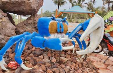 Imagem 2: TERRENO RESIDENCIAL em Fundão - ES, Praia Grande