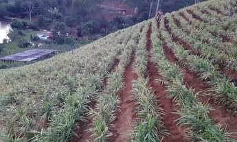 Imagem 6: Sítio de 6 quartos à venda em Santa Maria de Jetibá-ES, bairro Zona Rural, com 35.000m² de