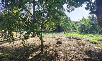 Imagem: Praia Grande, fundão, es, terreno