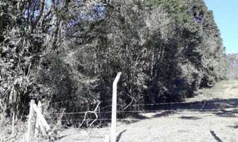 Imagem 2: Excelente Chácara Sem Benfeitorias