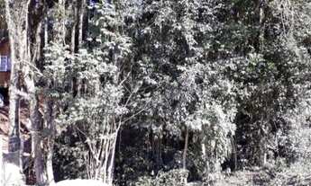 Imagem 4: Excelente Chácara Sem Benfeitorias