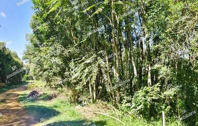 Imagem 2: CHACARA RURAL em SÃO JOSÉ DOS PINHAIS - PR, Faxina