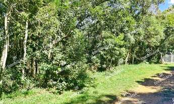 Imagem 5: CHACARA RURAL em SÃO JOSÉ DOS PINHAIS - PR, Faxina