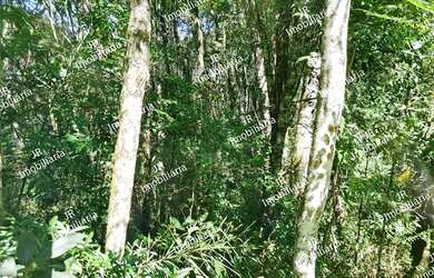 Imagem 4: CHACARA RURAL em SÃO JOSÉ DOS PINHAIS - PR, Faxina