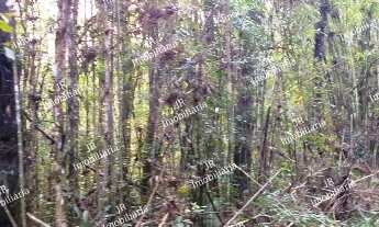 Imagem: CHACARA RURAL em Tijucas do Sul - PR, Campestre