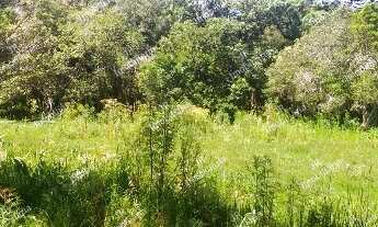 Imagem: CHACARA RURAL em SÃO JOSÉ DOS PINHAIS