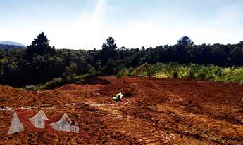Imagem 3: CHACARA RURAL em SÃO JOSÉ DOS PINHAIS - PR, Portãozinho