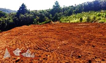 Imagem: CHACARA RURAL em SÃO JOSÉ DOS PINHAIS