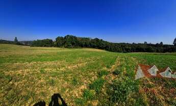 Imagem 5: CHACARA RURAL em SÃO JOSÉ DOS PINHAIS - PR, Roseira do Campo Largo