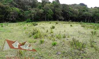 Imagem: Excelente Chácara Sem Benfeitorias