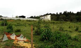 Imagem 3: Excelente Chácara Sem Benfeitorias