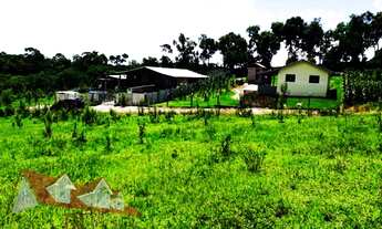 Imagem 6: Excelente Chácara Sem Benfeitorias