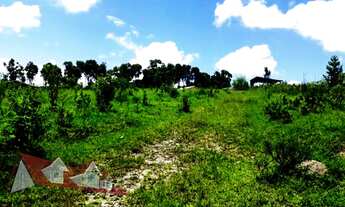 Imagem 7: Excelente Chácara Sem Benfeitorias