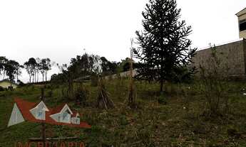 Imagem 2: Excelente Chácara Sem Benfeitorias