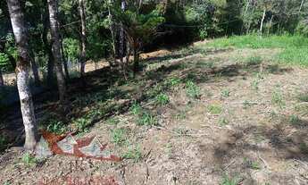 Imagem 7: CHACARA RURAL em MANDIRITUBA - PR, Colônia Retiro