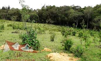 Imagem 4: Excelente Chácara Sem Benfeitorias