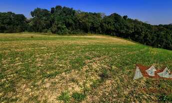 Imagem 4: CHACARA RURAL em SÃO JOSÉ DOS PINHAIS - PR, Roseira do Campo Largo