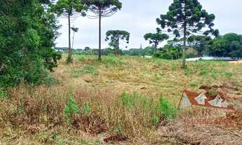 Imagem: CHACARA RURAL em SÃO JOSÉ DOS PINHAIS