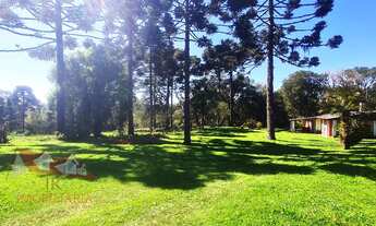 Imagem: CHACARA RURAL em SÃO JOSÉ DOS PINHAIS